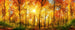 Dimex Sunny Forest Fototapete 375x150cm 5-Bahnen | Yourdecoration.de