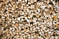 Dimex Timber Logs Fototapete 375x250cm 5-Bahnen | Yourdecoration.de