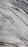 Dimex Tree Texture Fototapete 150x250cm 2-Bahnen | Yourdecoration.de