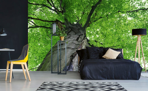 Dimex Treetop Fototapete 375x250cm 5-Bahnen Interieur | Yourdecoration.de