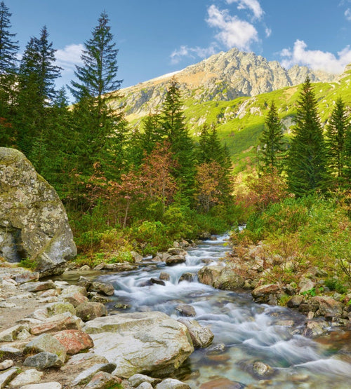 Dimex Valley Fototapete 225x250cm 3-Bahnen | Yourdecoration.de