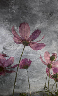 Dimex Violet Flower Abstract Fototapete 150x250cm 2-bahnen | Yourdecoration.de