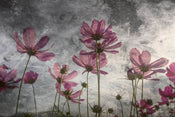 Dimex Violet Flower Abstract Fototapete 375x250cm 5-bahnen | Yourdecoration.de
