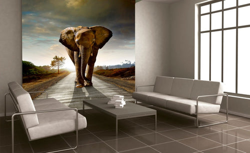Dimex Walking Elephant Fototapete 225x250cm 3-Bahnen Interieur | Yourdecoration.de