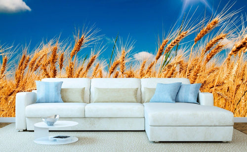 Dimex Wheat Field Fototapete 375x250cm 5-Bahnen Interieur | Yourdecoration.de