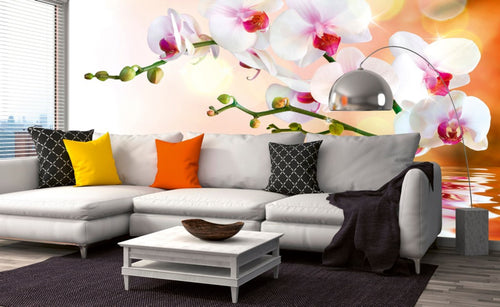 Dimex White Orchid Fototapete 375x250cm 5-Bahnen Interieur | Yourdecoration.de