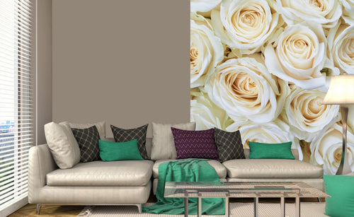 Dimex White Roses Fototapete 225x250cm 3-Bahnen Interieur | Yourdecoration.de