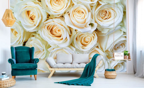 Dimex White Roses Fototapete 375x250cm 5-Bahnen Interieur | Yourdecoration.de