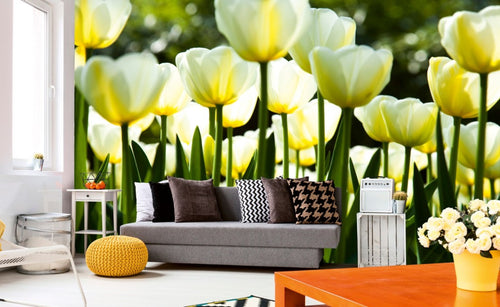 Dimex White Tulips Fototapete 375x250cm 5-Bahnen Interieur | Yourdecoration.de