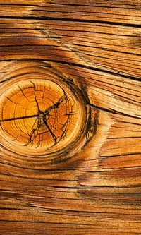Dimex Wood knot Fototapete 150x250cm 2-Bahnen | Yourdecoration.de