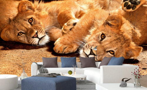 Dimex Young Lions Fototapete 375x250cm 5-Bahnen Interieur | Yourdecoration.de