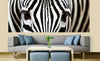 Dimex Zebra Fototapete 375x150cm 5-Bahnen Interieur | Yourdecoration.de