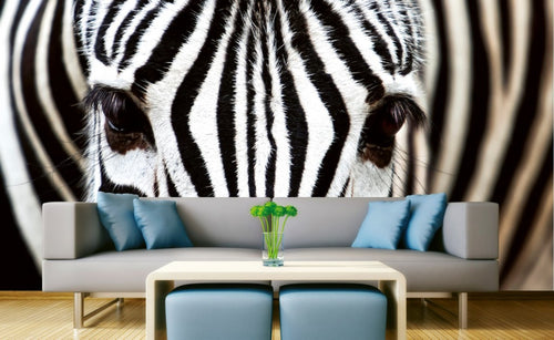 Dimex Zebra Fototapete 375x250cm 5-Bahnen Interieur | Yourdecoration.de