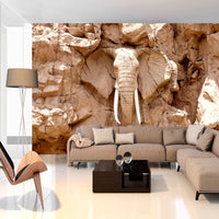 Fototapete - Stone Elephant South Africa - Vliestapete