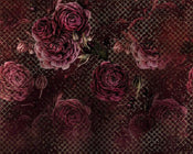 Komar Rouge Intense Vlies Fototapete 350x280cm 7-bahnen | Yourdecoration.de