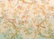 Komar Oiseau de Paradis Vlies Fototapete 350x255cm 7-bahnen | Yourdecoration.de