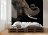 Komar African Elephant Vlies Fototapete 300X280Cm 6 Teile Interieur | Yourdecoration.de
