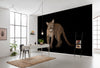 Komar Florida Panther Vlies Fototapete 400X280Cm 6 Teile Interieur | Yourdecoration.de