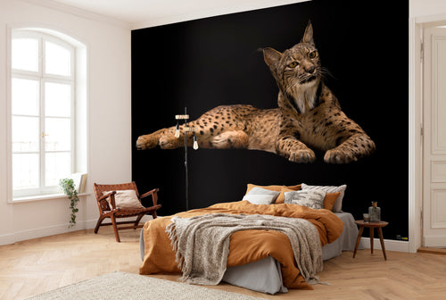 Komar Iberische Lynx Vlies Fototapete 400X280Cm 6 Teile Interieur | Yourdecoration.de