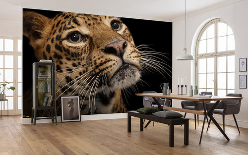 Komar Javan Tiger Vlies Fototapete 400X280Cm 6 Teile Interieur | Yourdecoration.de