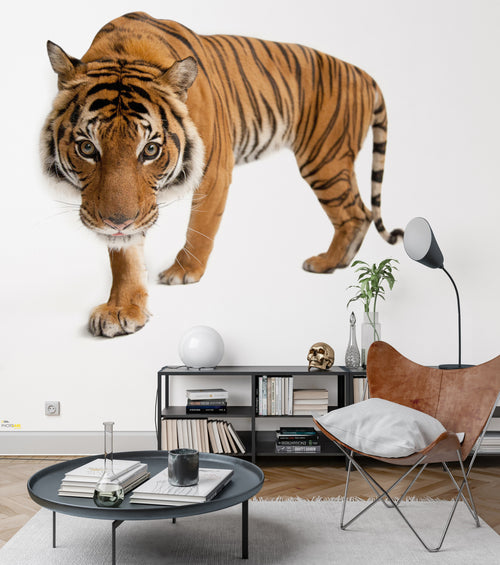 Komar Tiger Vlies Fototapete 300X280Cm 6 Teile Interieur | Yourdecoration.de