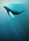 Komar Vlies Fototapete Iax4 0045 Artsy Humpback Whale | Yourdecoration.de
