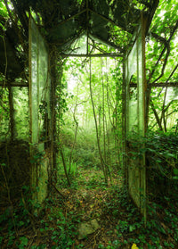 Komar Vlies Fototapete Shx4 158 Greenhouse | Yourdecoration.de