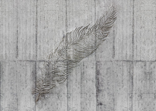Komar Vlies Fototapete X7 1023 Concrete Feather | Yourdecoration.de