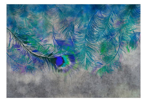 Fototapete - Peacock Feathers - Vliestapete