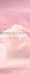 Komar Cloud Wire Vlies Fototapete 100x250cm 1-bahn | Yourdecoration.de