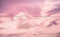 Komar Cloud Wire Vlies Fototapete 400x250cm 4-bahnen | Yourdecoration.de