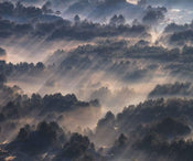 Komar Rays Vlies Fototapete 300x250cm 3-bahnen | Yourdecoration.de