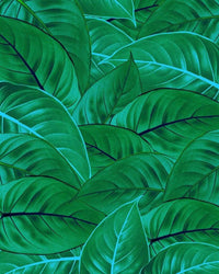 Komar Jungle Leaves Vlies Fototapete 200x250cm 2-bahnen | Yourdecoration.de