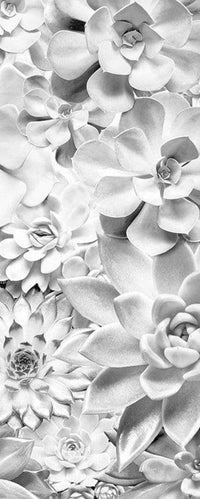 Komar Shades Black and White Vlies Fototapete 100x250cm 1-bahn | Yourdecoration.de