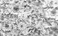 Komar Shades Black and White Vlies Fototapete 400x250cm 4-bahnen | Yourdecoration.de