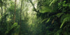 Komar Tropenwelten Vlies Fototapete 500x250cm 5-bahnen | Yourdecoration.de