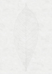 Komar Decent Leaf Vlies Fototapete 200x280cm 2-bahnen | Yourdecoration.de