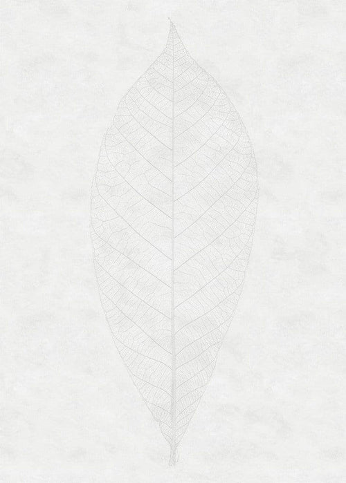 Komar Decent Leaf Vlies Fototapete 200x280cm 2-bahnen | Yourdecoration.de