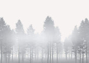 Komar Silver Haze Vlies Fototapete 400x280cm 8-bahnen | Yourdecoration.de