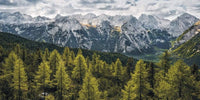 Komar Wild Dolomites Vlies Fototapete 200x100cm 1-bahn | Yourdecoration.de