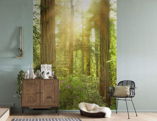 Komar Redwood Vlies Fototapete 200x250cm 2-bahnen Sfeer | Yourdecoration.de