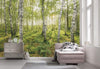 Komar Birch Trees Vlies Fototapete 400x250cm 4-bahnen Sfeer | Yourdecoration.de