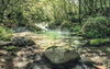 Komar Tranquil Pool Vlies Fototapete 400x250cm 4-bahnen | Yourdecoration.de