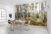 Komar Colorful Aspenwoods Vlies Fototapete 450x280cm 9-bahnen Sfeer | Yourdecoration.de