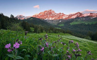 Komar Picturesque Switzerland Vlies Fototapete 450x280cm 9-bahnen | Yourdecoration.de