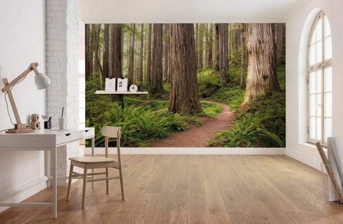 Komar Redwood Trail Vlies Fototapete 450x280cm 9-bahnen Sfeer | Yourdecoration.de