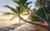 Komar Strandgeheimnis Vlies Fototapete 450x280cm 9-bahnen | Yourdecoration.de