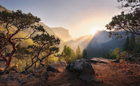 Komar Yosemites Secret Vlies Fototapete 450x280cm 9-bahnen | Yourdecoration.de
