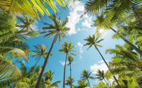 Komar Coconut Heaven Vlies Fototapete 450x280cm 9-bahnen | Yourdecoration.de