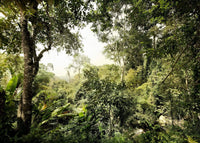 Komar Dschungel Fototapete 350x250cm 7-bahnen | Yourdecoration.de